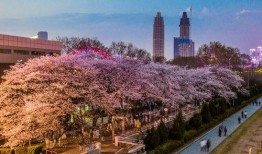 吃瓜爆料联盟抖音网红,揭秘娱乐圈幕后故事！”